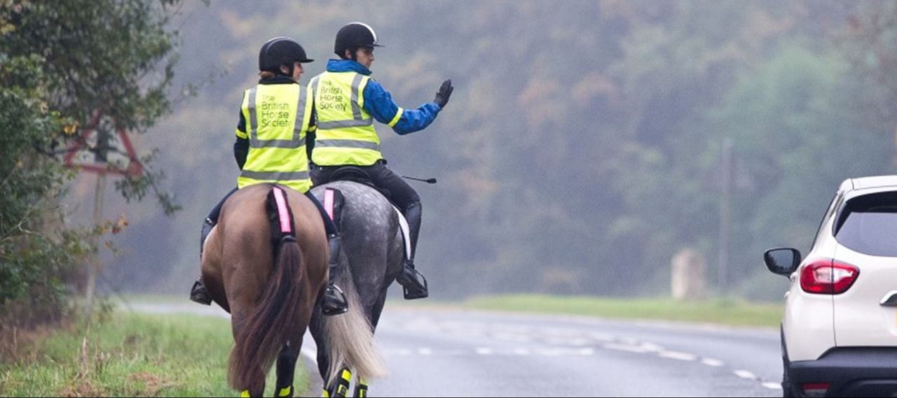 Driver sentenced after pleading guilty to horse collision