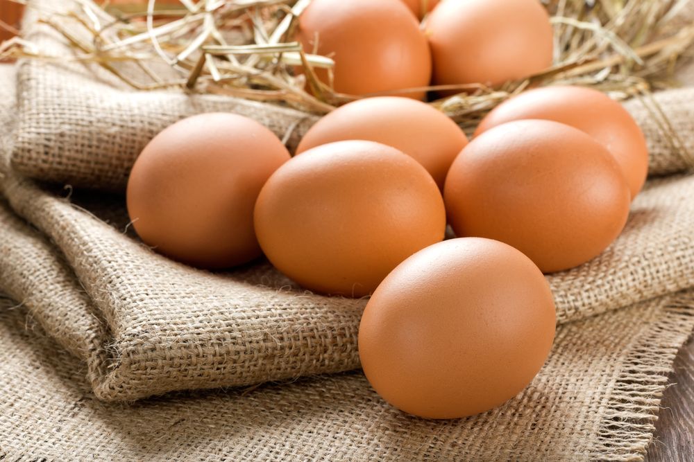 A dozen facts about eggs on World Egg Day