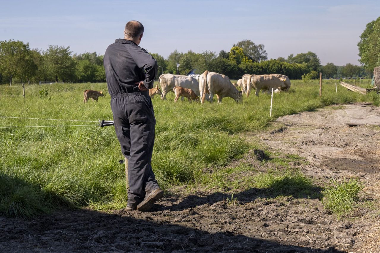 UFU calls for budget to provide long-term certainty and fairness for farmers