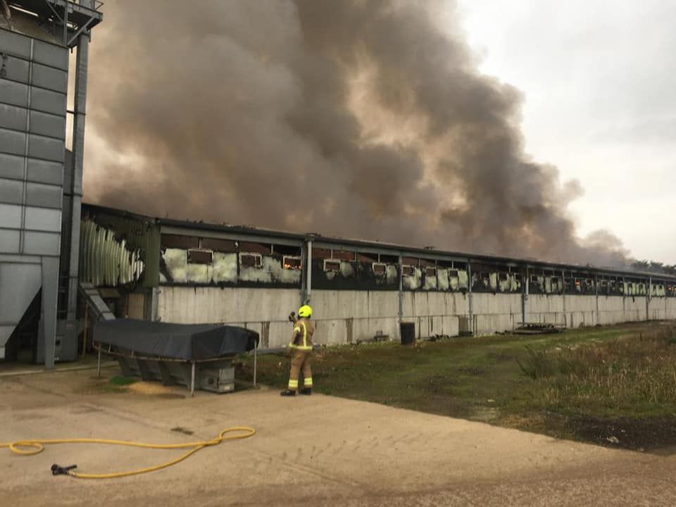 Insurers now investigating Oxfordshire pig-farm fire