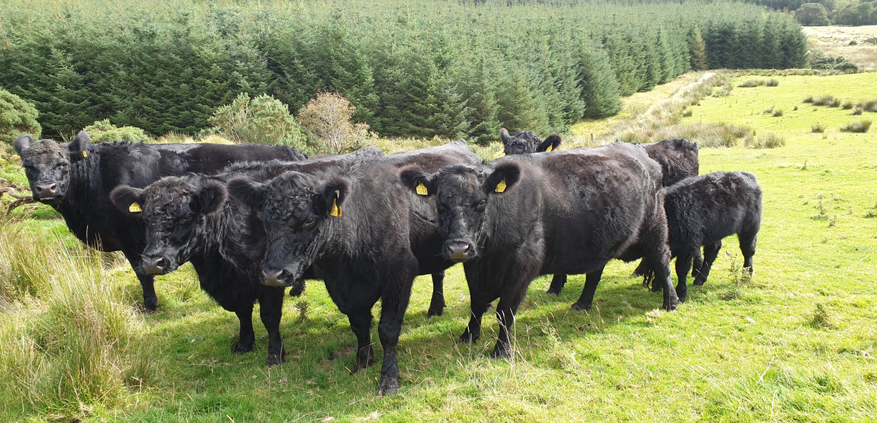NFU uplands forum meets with Prentis to discuss SFI changes