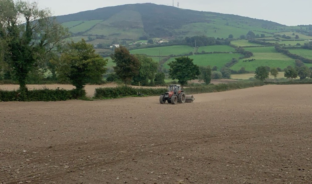 Advice and tips for a good autumn reseed establishment