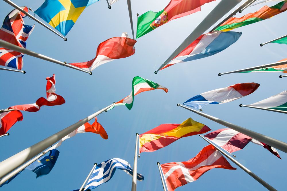 EU research turning food waste into feed