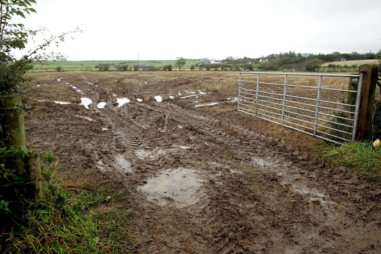 Soil: Taking the pressure off this winter