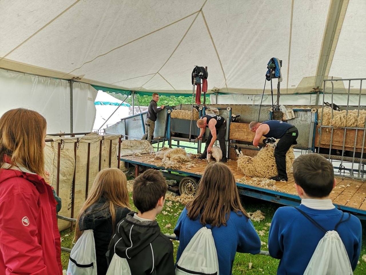 Agricultural society offers hands-on learning for more than 1,000 children