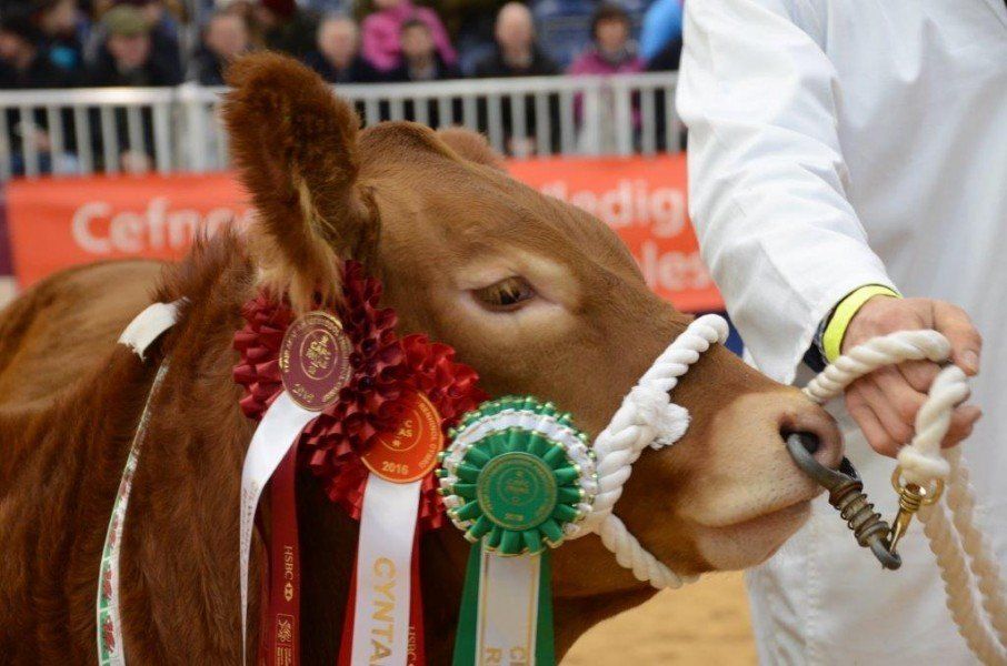 Welsh Winter Fair: Hard Brexit 'biggest threat' to Wales' red meat industry