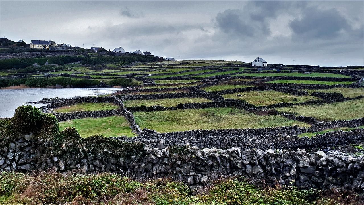 CAFRE to host one-day dry stone walling courses