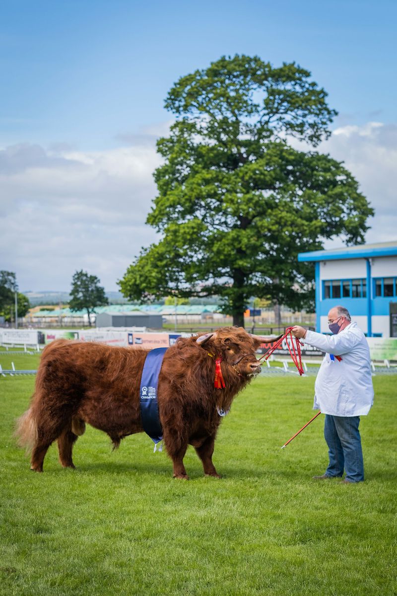 Royal Highland Showcase receives over 270,000 views across 7 days