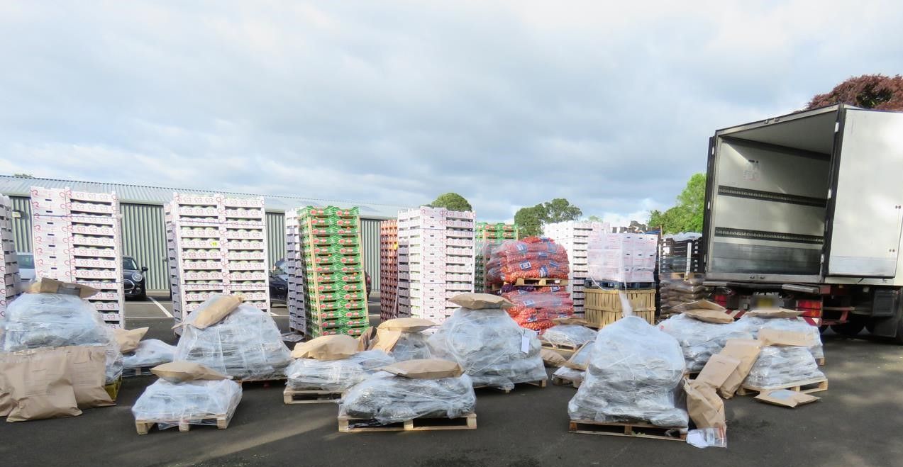 NI’s biggest drug seizure found hidden behind veg in refrigerated lorry