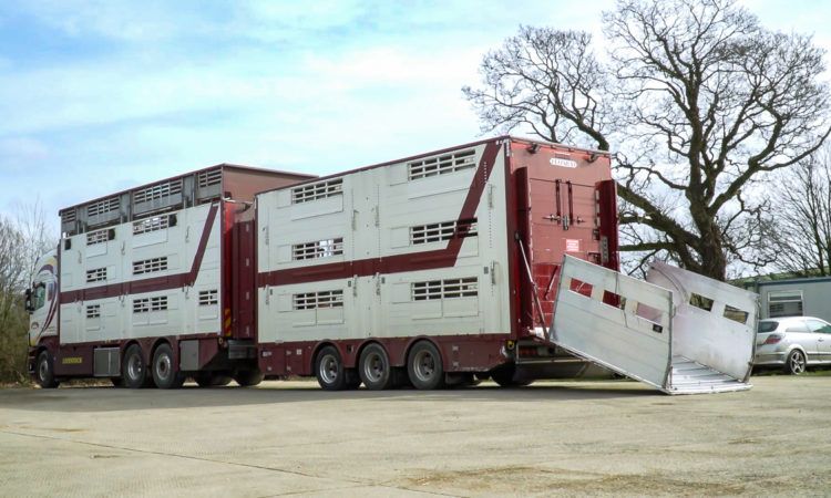 Government to consult on ending live exports for slaughter and fattening
