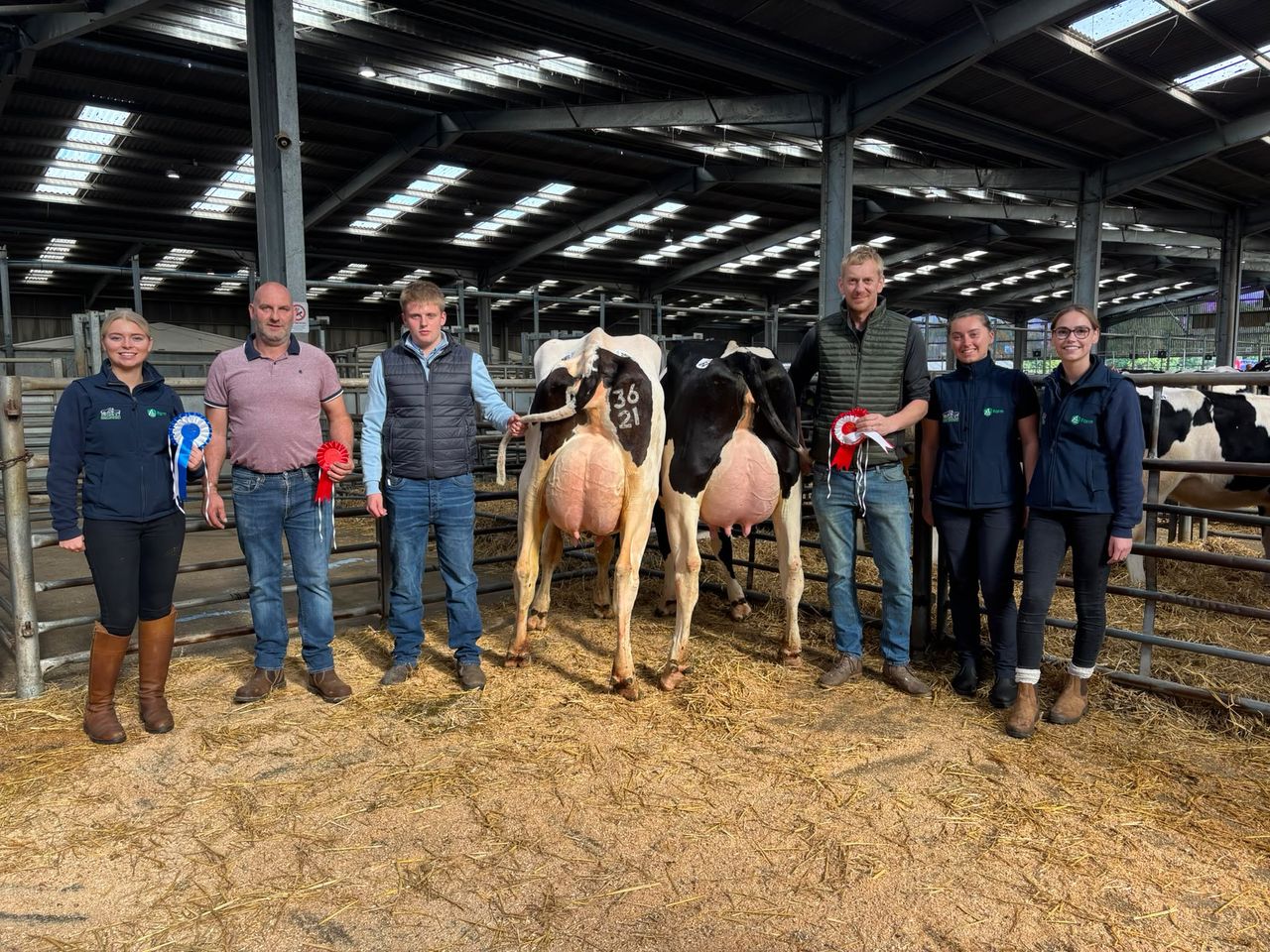 Champion Scottish herd sees heifer sell for 3,700gns