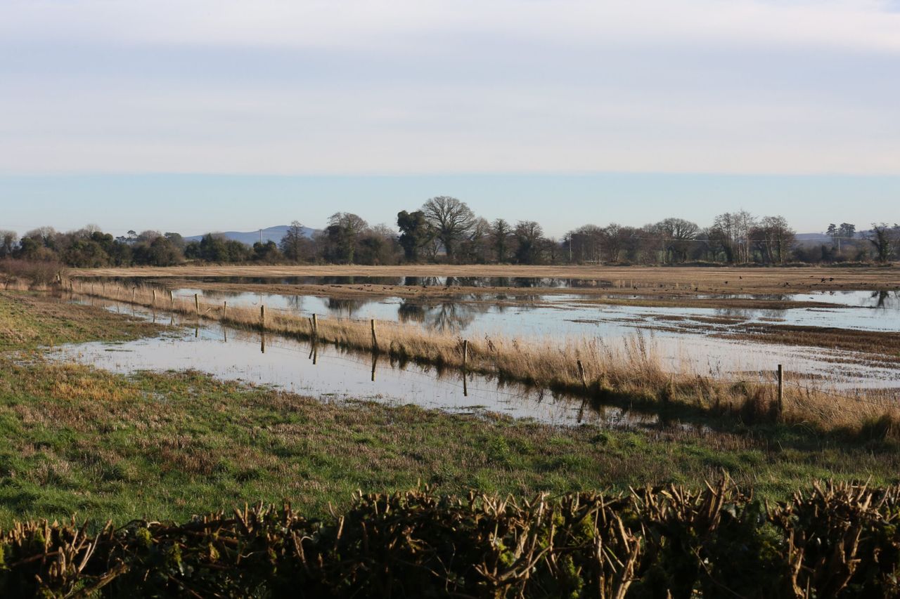 Farmers in the North hit by flooding to benefit from £1,000 relief