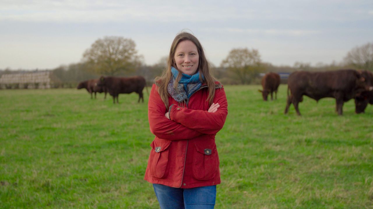 Beef 're-imagined' for British beef week
