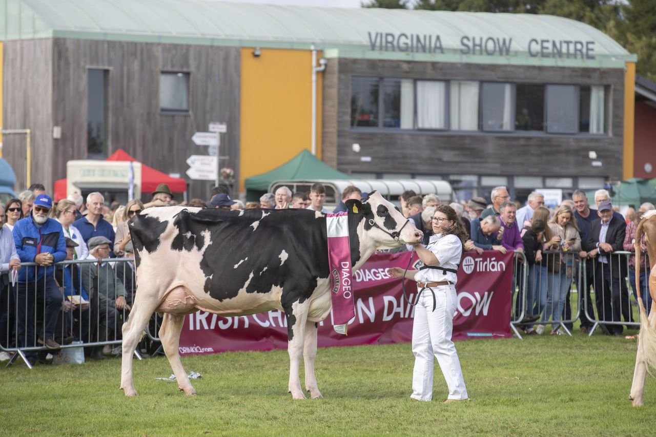 Dairy breeding elite set for Cavan as Baileys Champion Cow returns