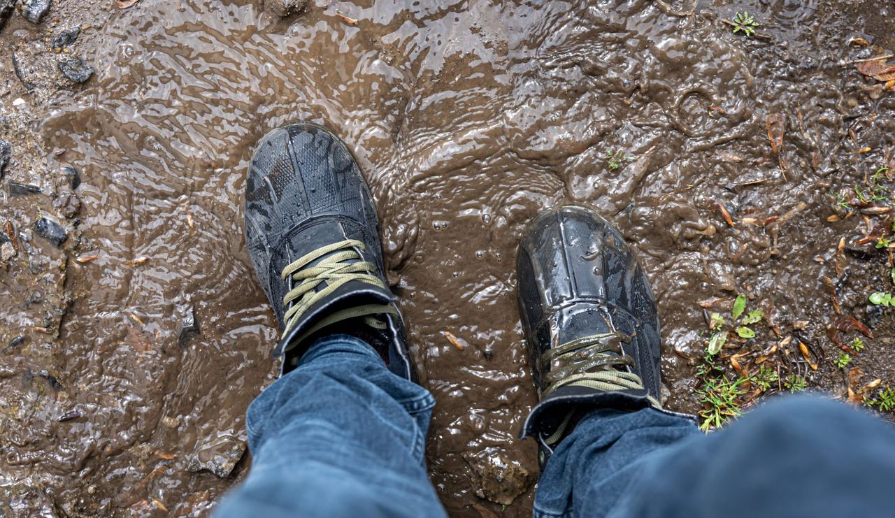 ‘Why don’t you muck off?’ – AHDB
