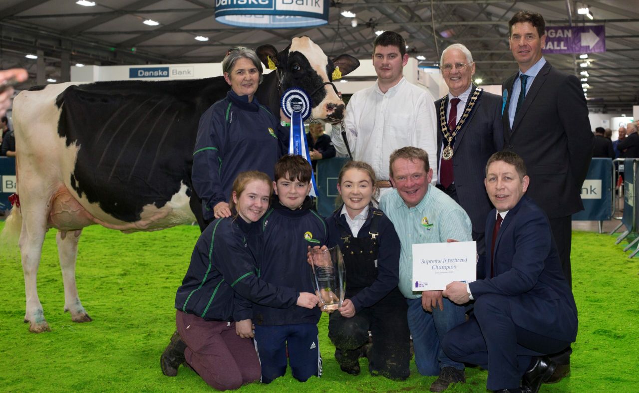 Limerick breeder clinches 2019 RUAS Winter Fair championship
