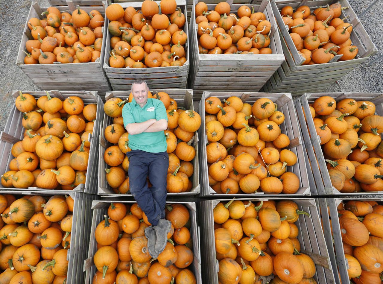 First pumpkins of the season hit the shelves