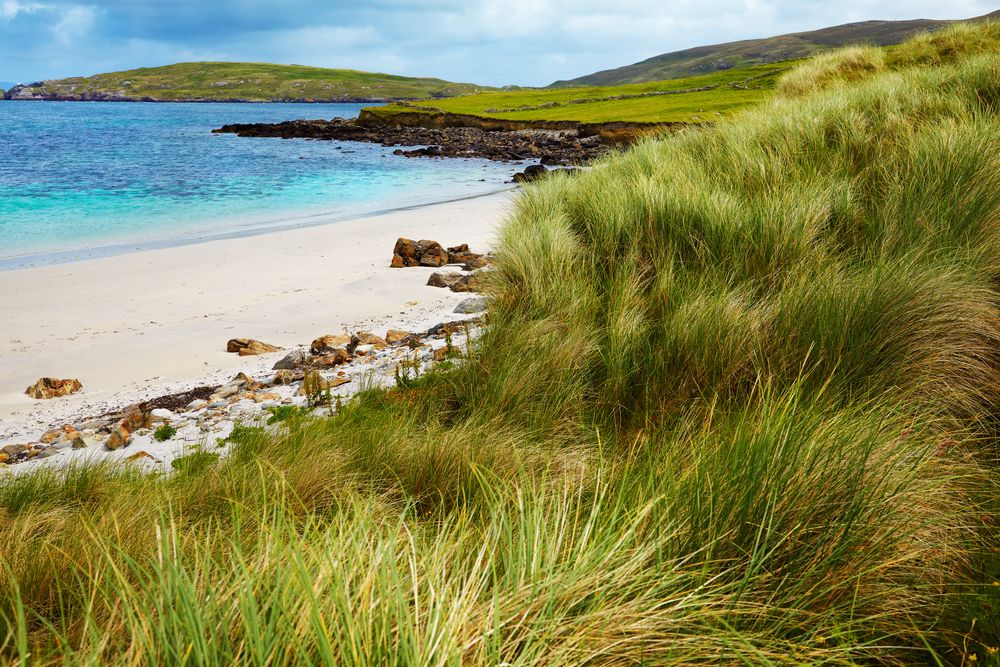 Clare tops sea farming water quality league