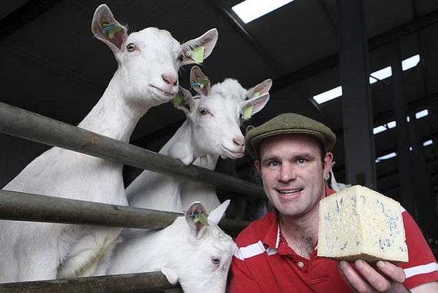 This Week’s Farmer of the Tweet: Michael Finnegan