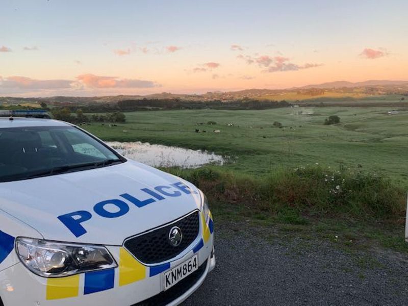 New Zealand police shoot ram after man and woman found dead