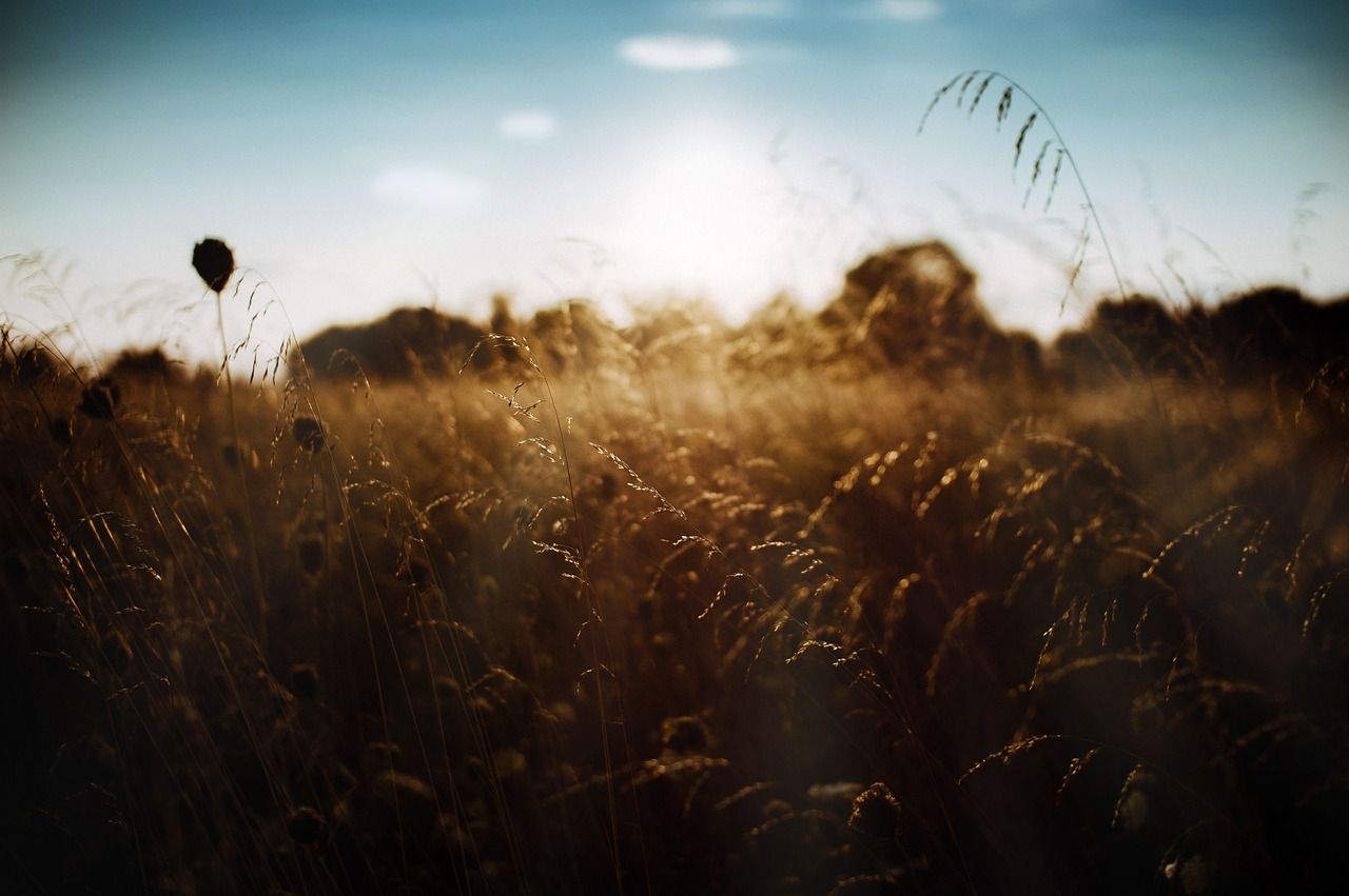 Report: Agri workers most at risk from climate change