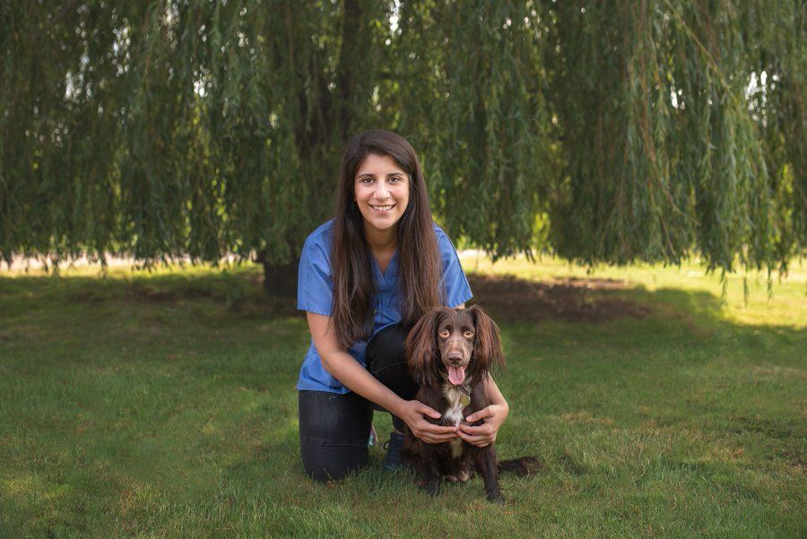 Daniella Dos Santos elected as new BVA president