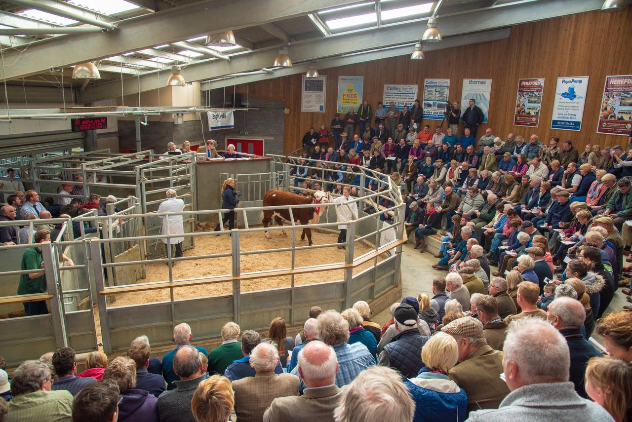 Alice enters wonderland with new Hereford centre record
