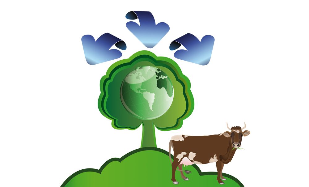 Question the direction of beef production at Global 500