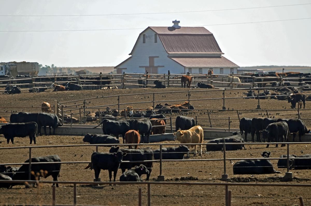 '20-year EU ban on US beef has been in effect far too long'