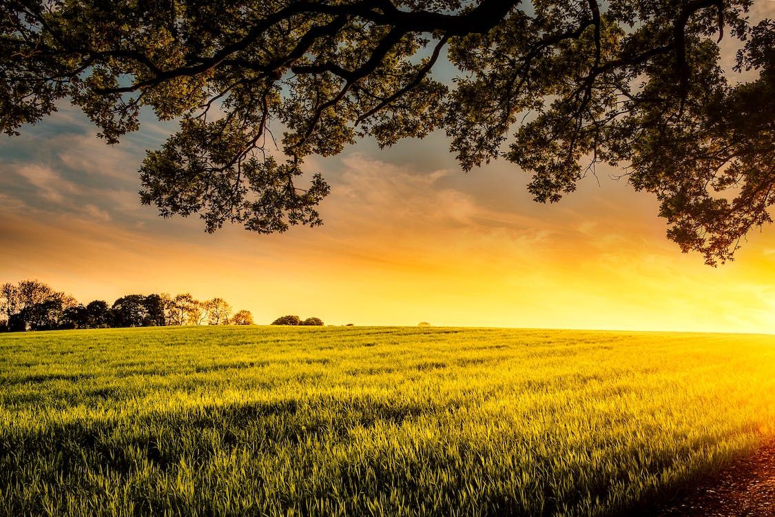 Future of $150bn NZ farm assets depends on succession – report
