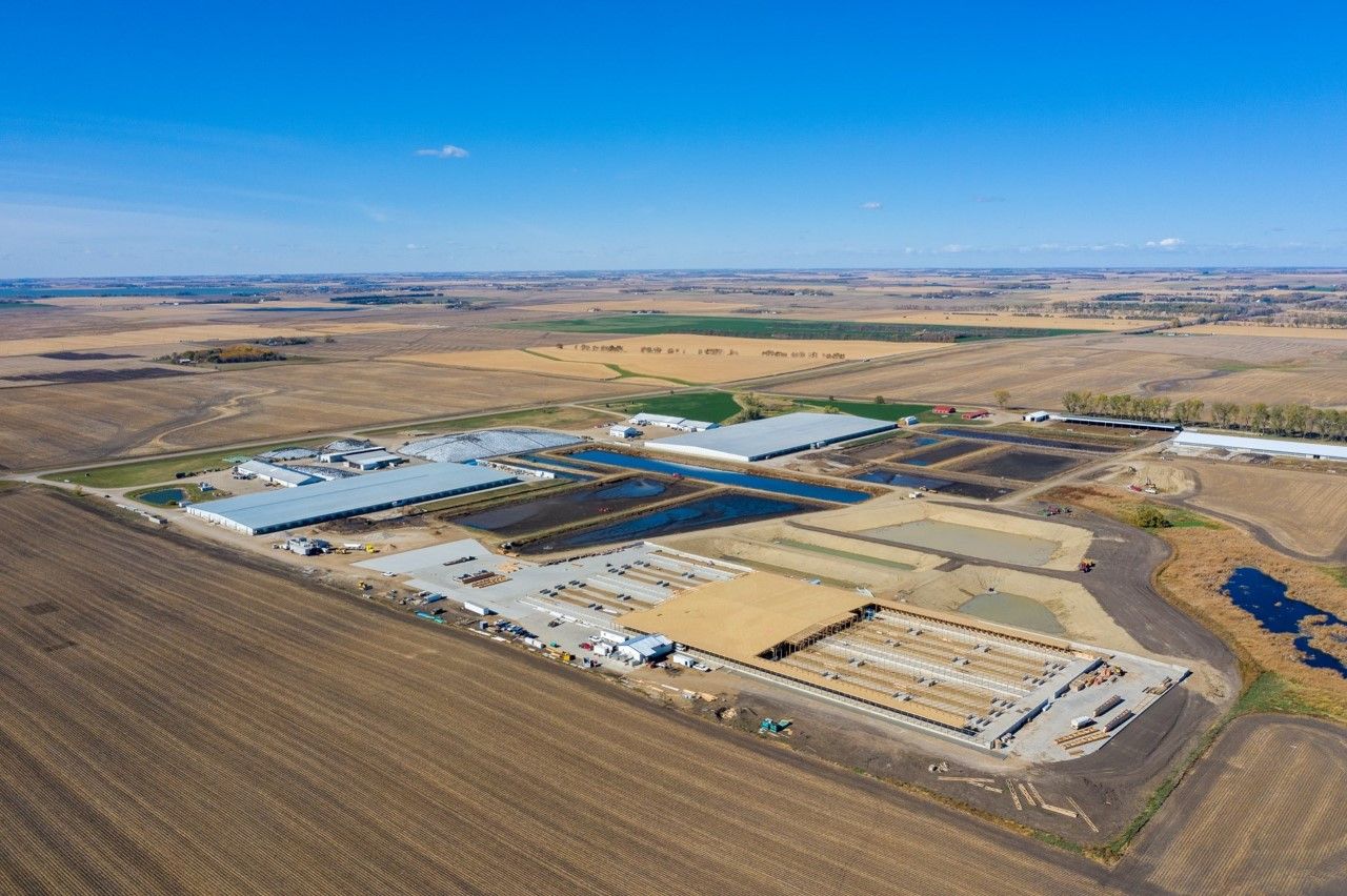 Friday: A look around this large South Dakota dairy farm