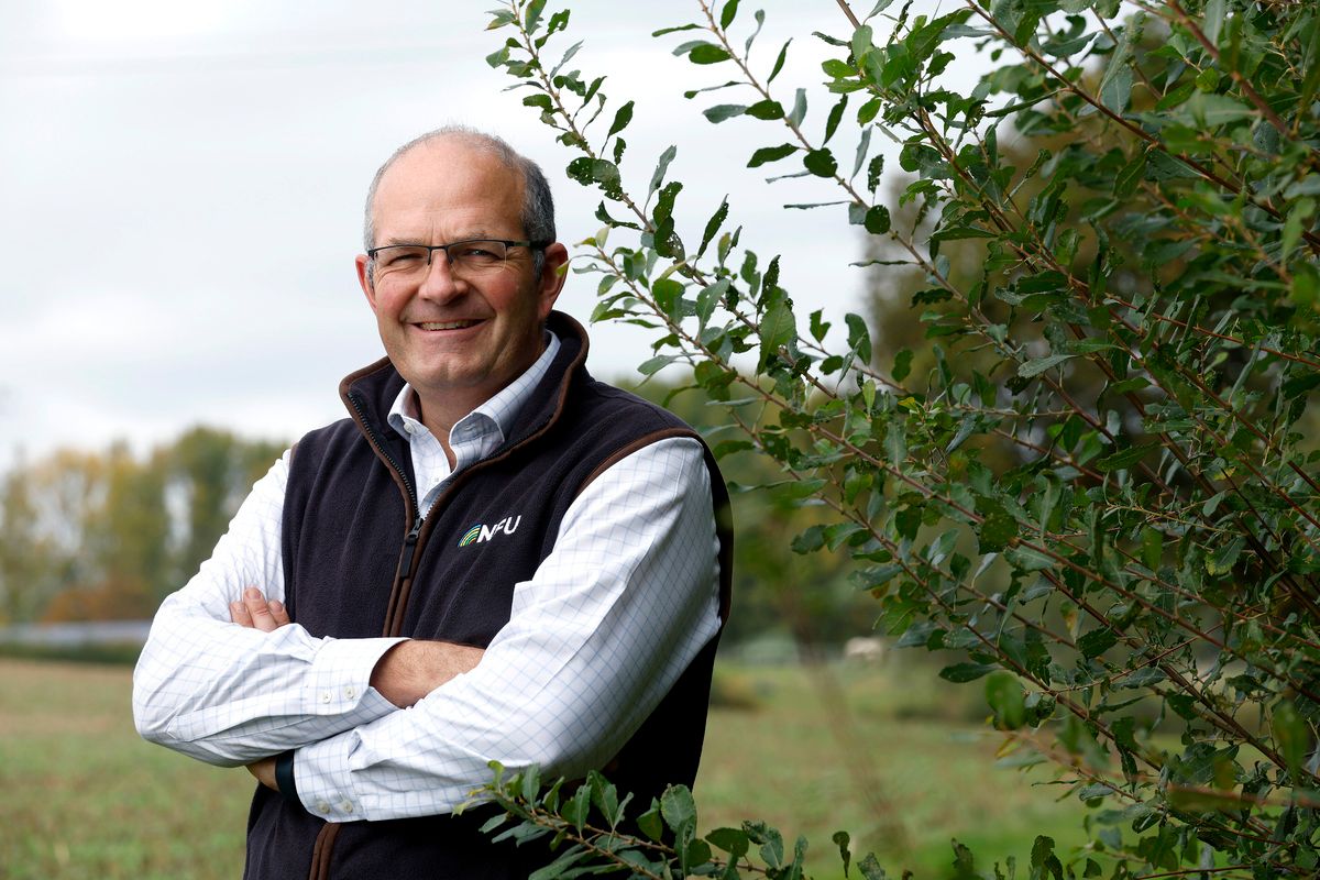 Farmers now have 'firmer ground to build on and grow in 2026' - NFU president
