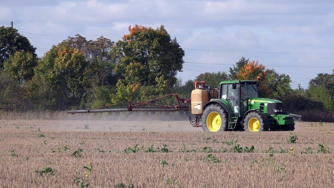 Less pesticides won’t make food production more sustainable – expert