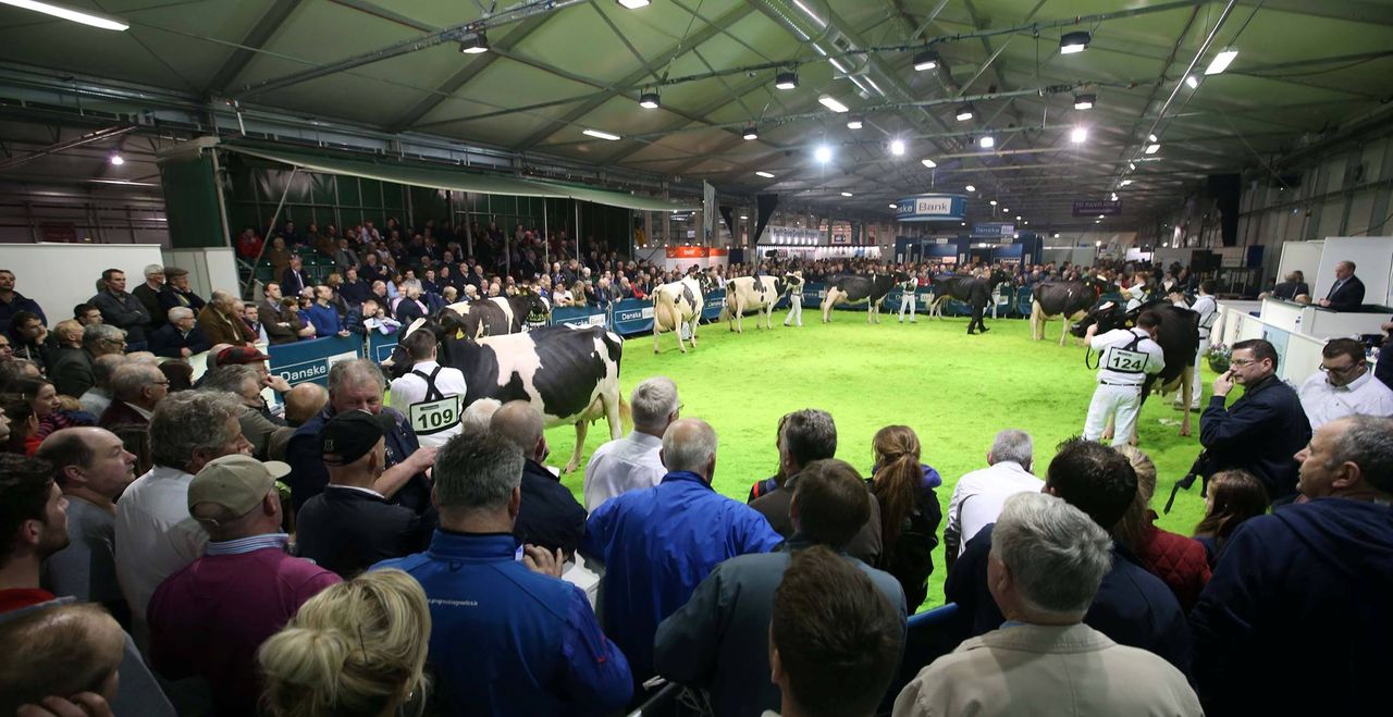 Winter Fair: Just two days to go until the North’s flagship dairy show