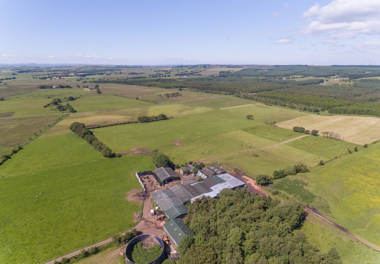 Accessible farm in central Scotland for sale whole on 271.22ac...or in 7 lots