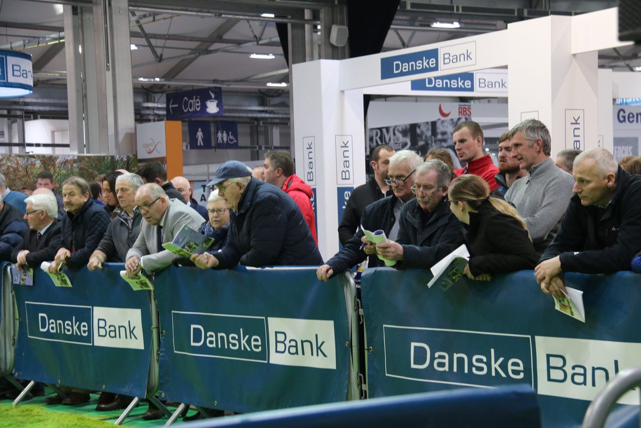 Winter Fair: Crowds flock to Northern Ireland’s biggest dairy show