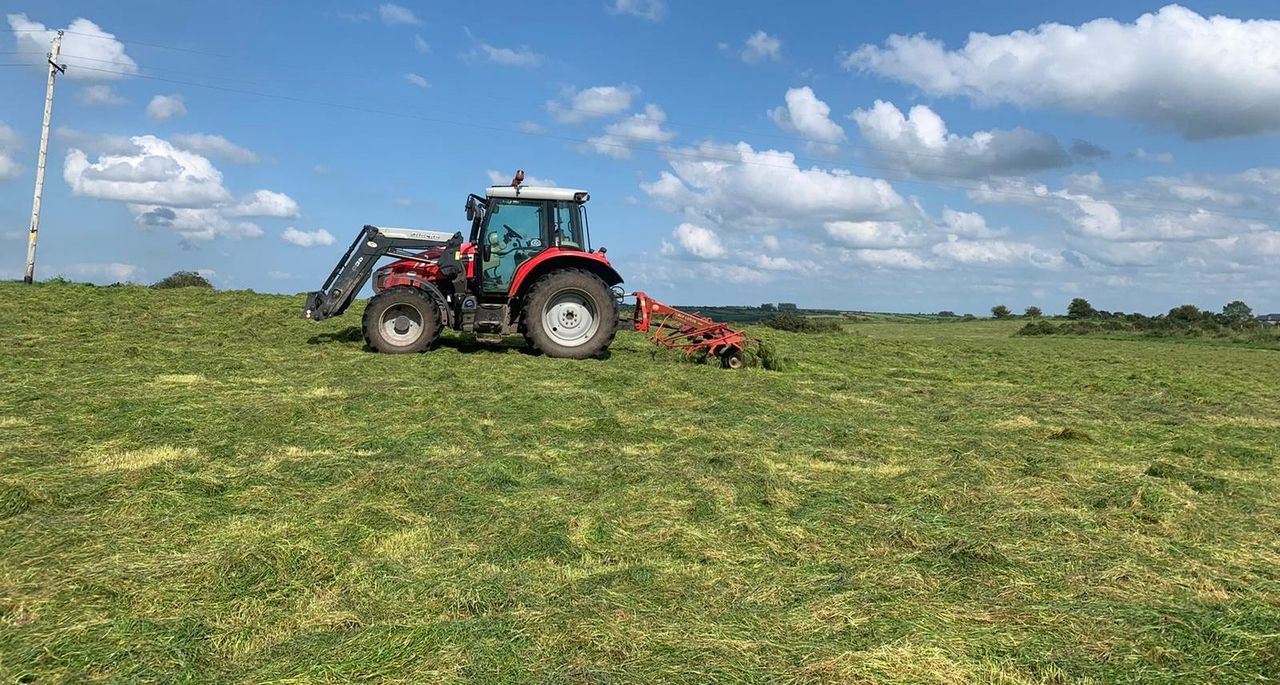 Wilting silage – is it worthwhile?