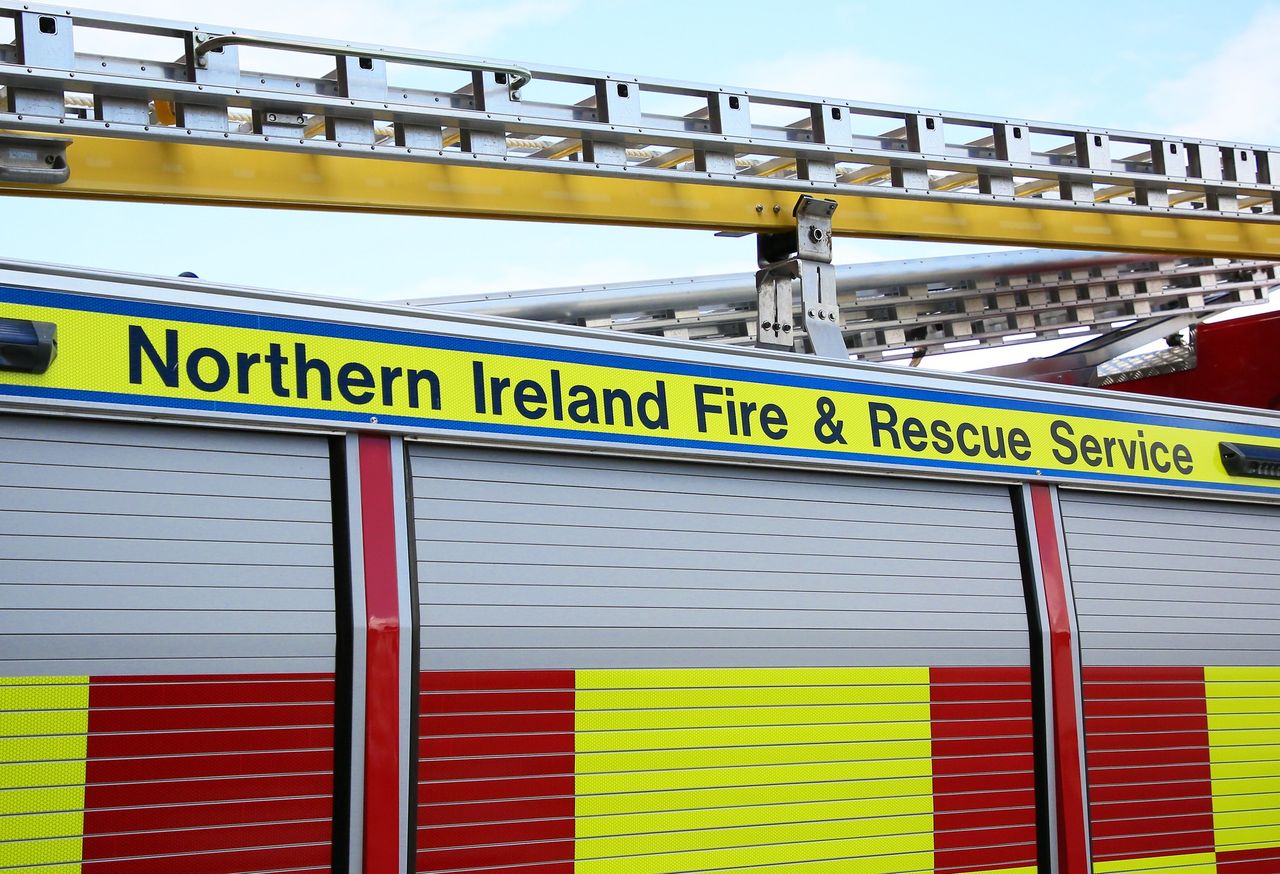 300 sheep led to safety in Down hay shed fire
