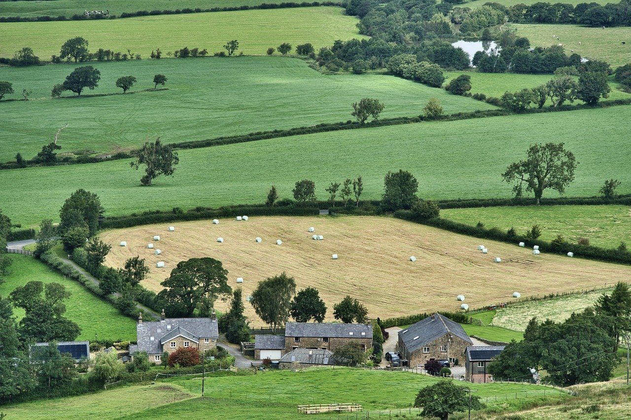 Poll shows uncertainty over tax is a key issue for family farms