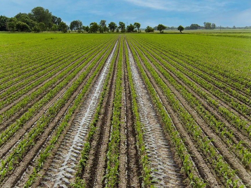 Lemken offers an online configurator for the Azurit 9 seed drill