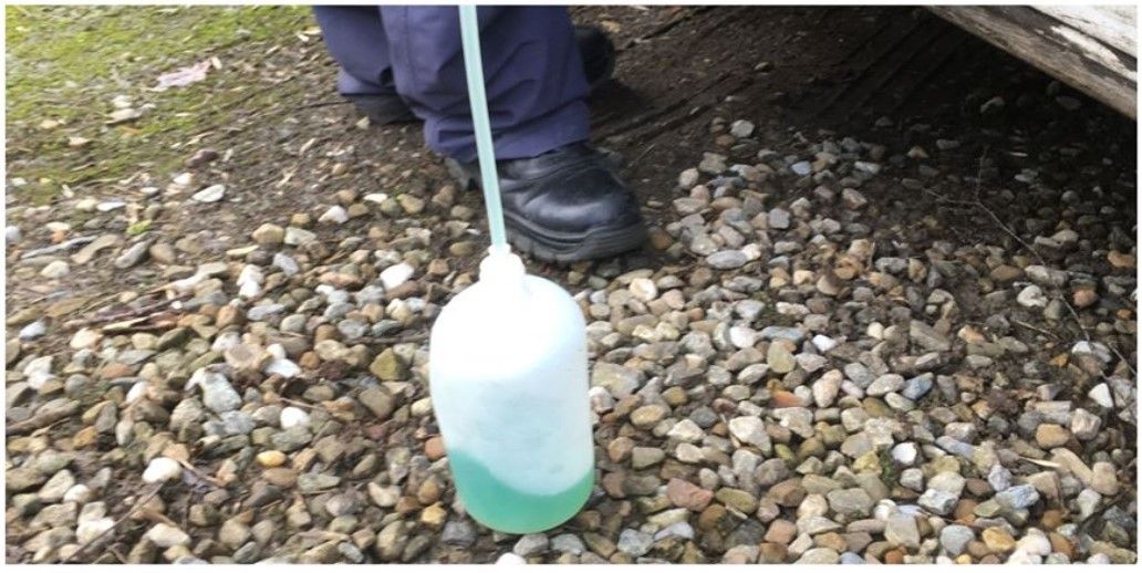 Colour combo crime: Car pulled on green diesel…and kerosene