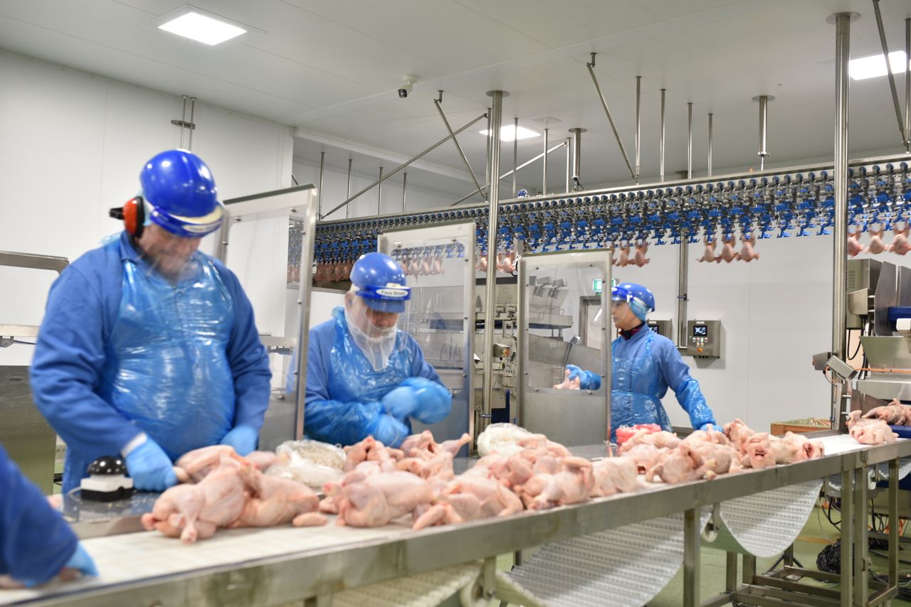 Avara Foods partners with Kickstart scheme