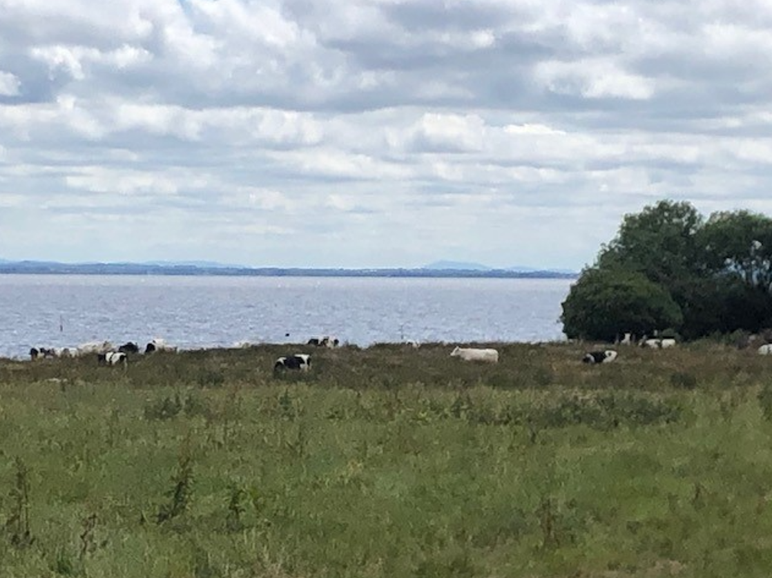 UFU: Lough Neagh investment must deliver proper farmer supports