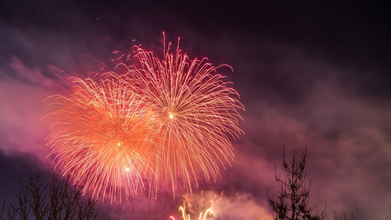 BVA urges animal owners to take firework precautions now