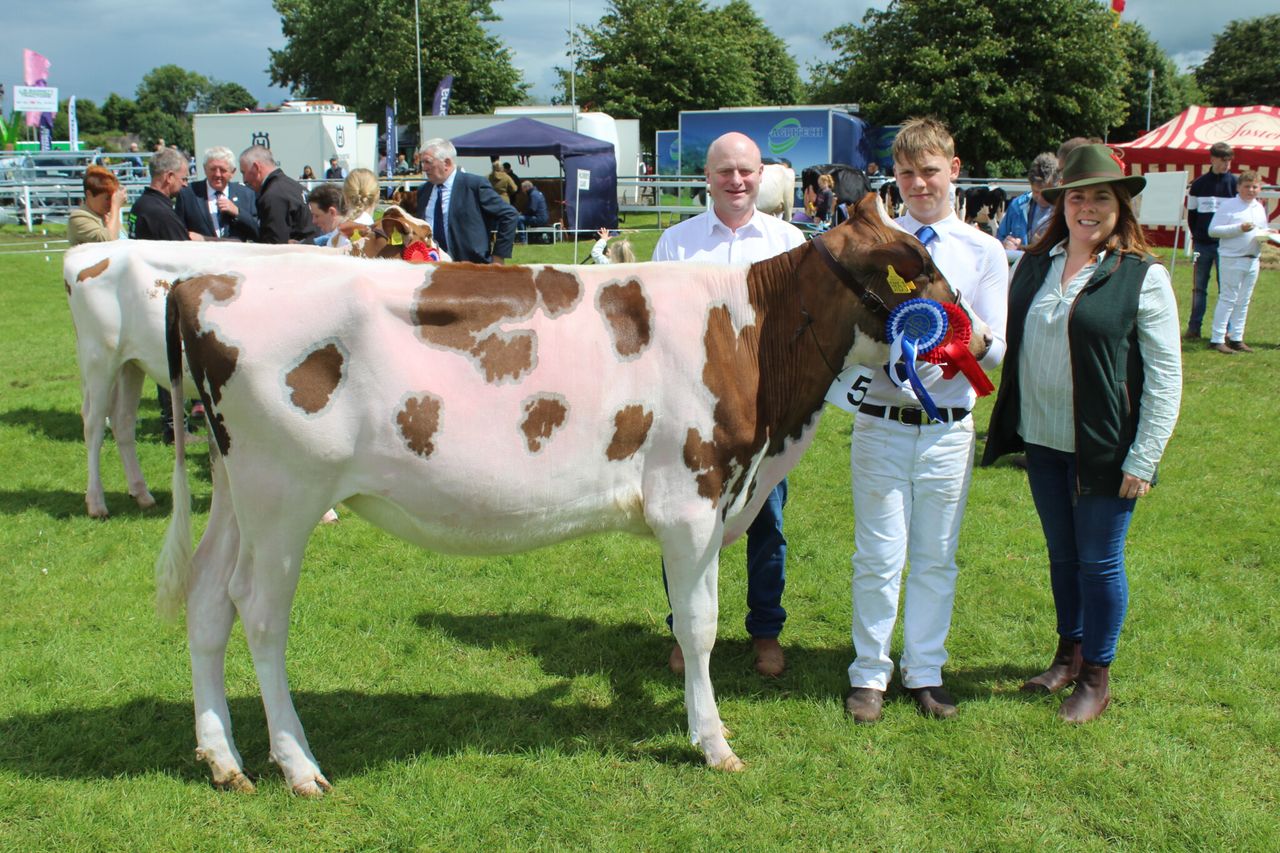 Record entry of sheep and cattle at Omagh Show 2024