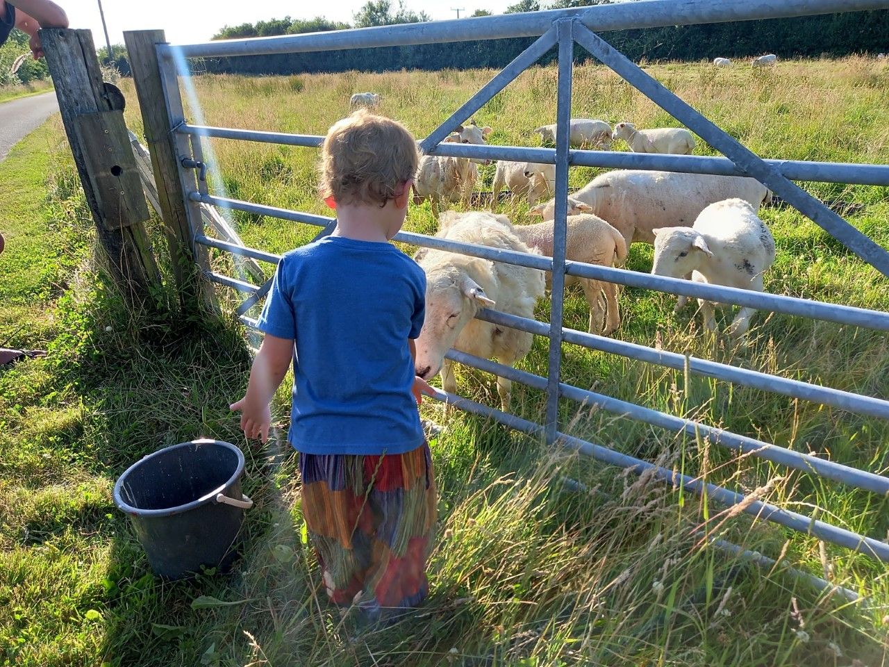 Survey reveals lack of public knowledge on farming and a need for agritourism