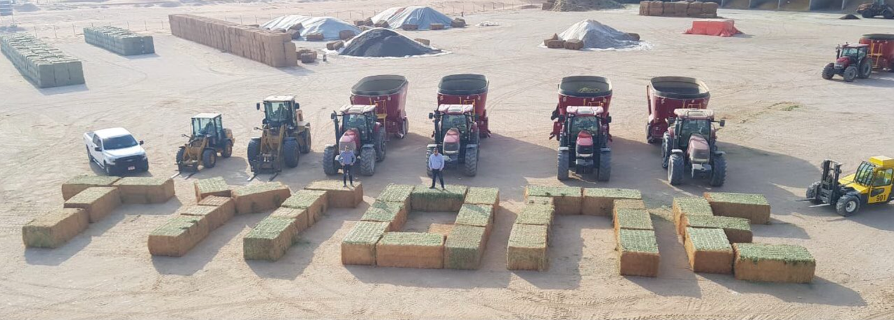 Farmworkers celebrate Tyrone victory… from the desert!