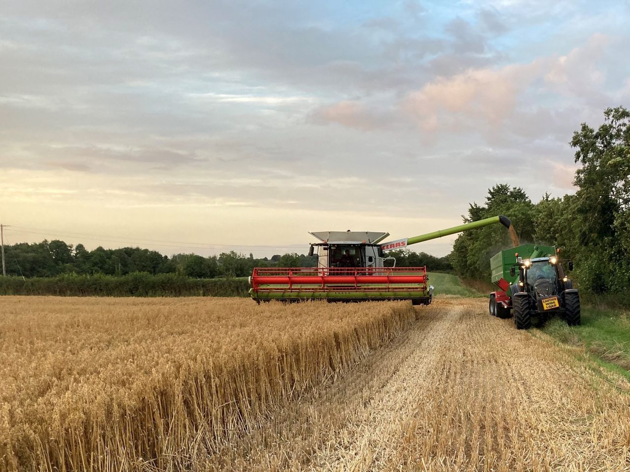 UK cereals harvest update amid sliding grain prices