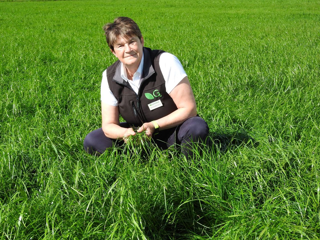 Better Grazing meetings to put multi-species swards in the spotlight