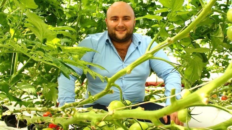 New 'Jacuzzi in a bag’ system to allow growers to up yields while using less
